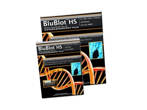A8803, MTC BIO BluBlot™ HS Autoradiography film, 5x7in, 100 sheets/box - BX - MTC Bio - ELECTROPHORESIS AND WESTERN BLOT