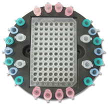 BV1000-COMBO, BENCHMARK COMBO™  head - EA - BENCHMARK