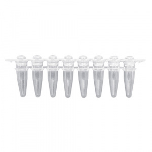 P3020, MTC BIO PCR Tubes Strips of 8 tubes w/ dome caps packaged separately, 120/pk - PK - MTC BIO - PCR TUBE STRIPS - PCR SUPPLIES