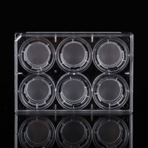 723011, 6 Cell Culture Inserts+6 Well Plate, 3 μm, PC Membrane, Non-Treated, Sterile, 6/pk, 60/cs - Nest Scientific USA - CELL CULTURE SUPPLIES